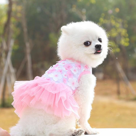 Blossom Pet Dress