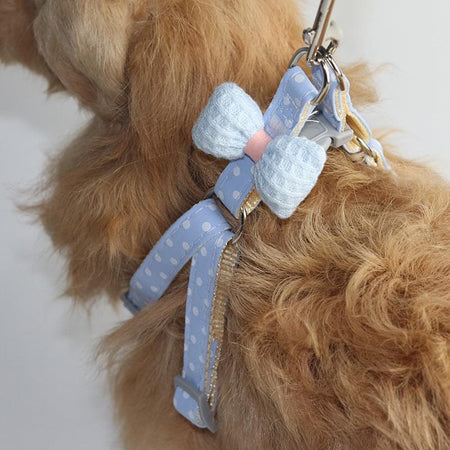 Cute Bow Harness and Leash