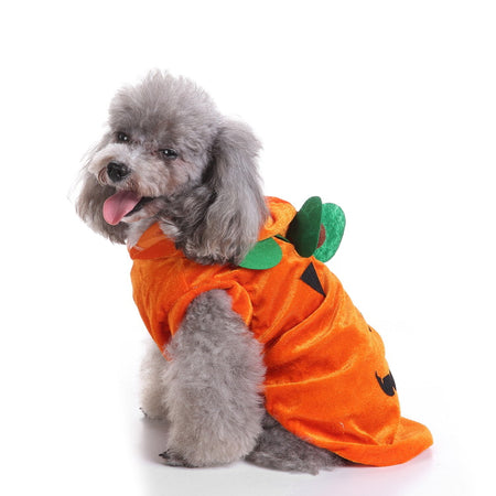 Halloween Party Outfits For Dogs (Multiple Styles)