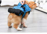 4 in 1 Pet Harness Carrier