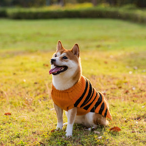 Pumpkin Dog Sweaters