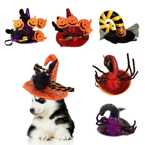 Funny Halloween Pet Hats
