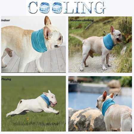 Pet Cooling Collar Bandana- Summer Edition