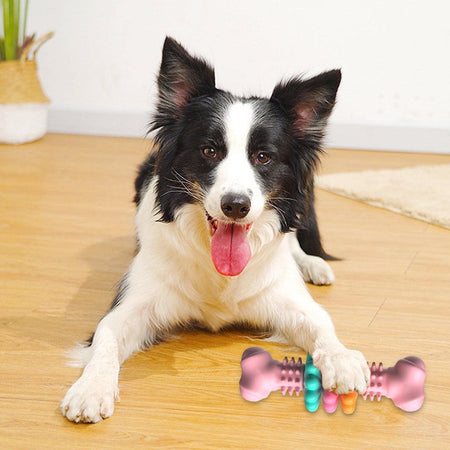 Dog Chew Bone Toy - Indestructible