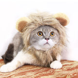 Pet Lion Hair Cap