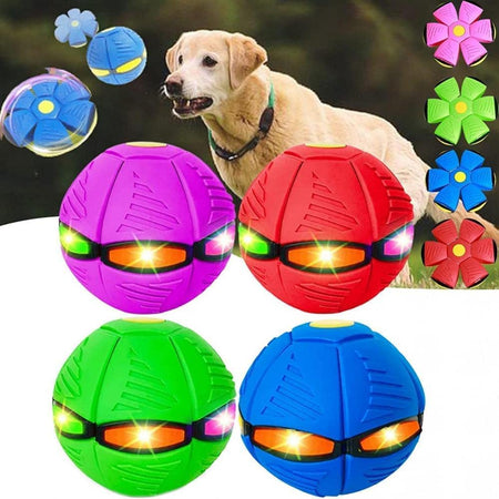 Flying Saucer Ball for Dogs