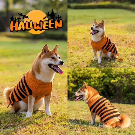 Pumpkin Dog Sweaters