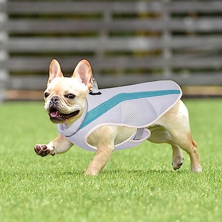 Cooling Pet Harness For Summer