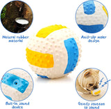 Chew ball - Immortal Pet Toy For Aggressive Chewers