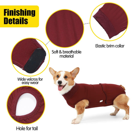 Dog Recovery Suit