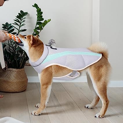 Cooling Pet Harness For Summer