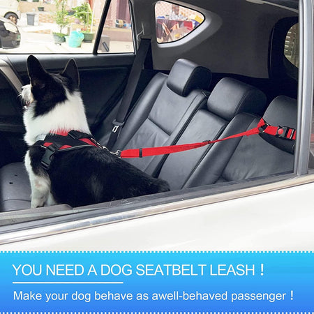 Pet Traction Rope & Car Seat Belt - Dual Use