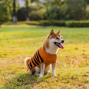 Pumpkin Dog Sweaters