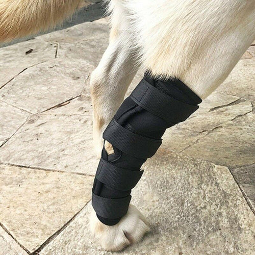 Supportive Hock Wrap for Dogs - Anti-lick Design