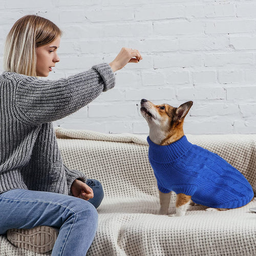 Knitted Wintry Pet Sweater