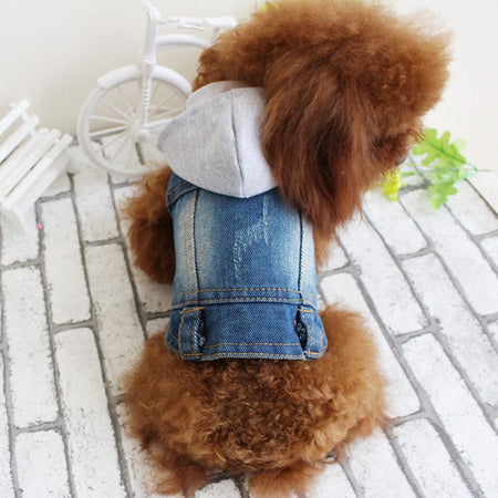 Cool Hooded Denim For Pets