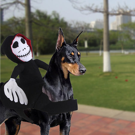 Ghost Riding on the Pet Halloween Costume