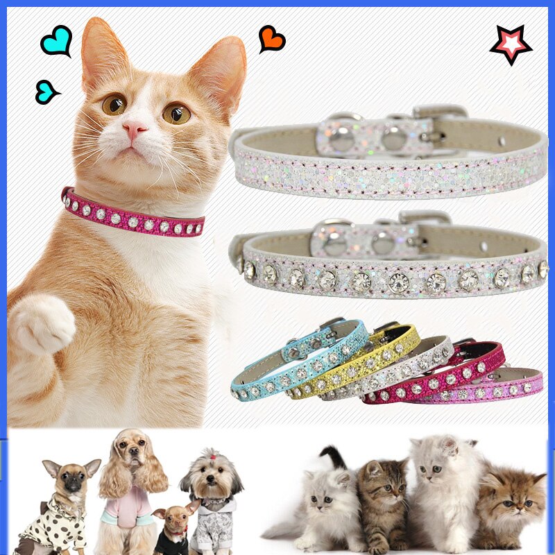 Diamond Studded Collar