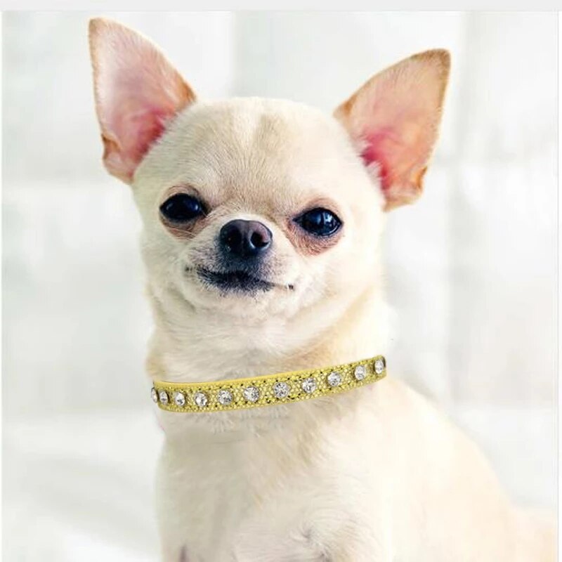 Diamond Studded Collar