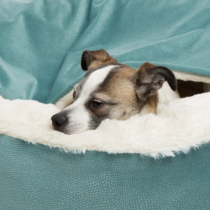 Donut Cozy Hooded Pet Bed