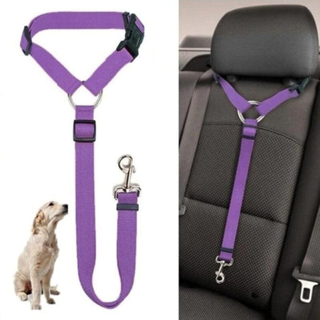 Car Seat Safety Dog Leash