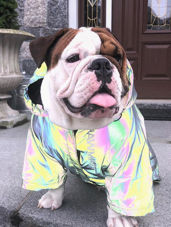 Pupreme Reflective Pet Jacket