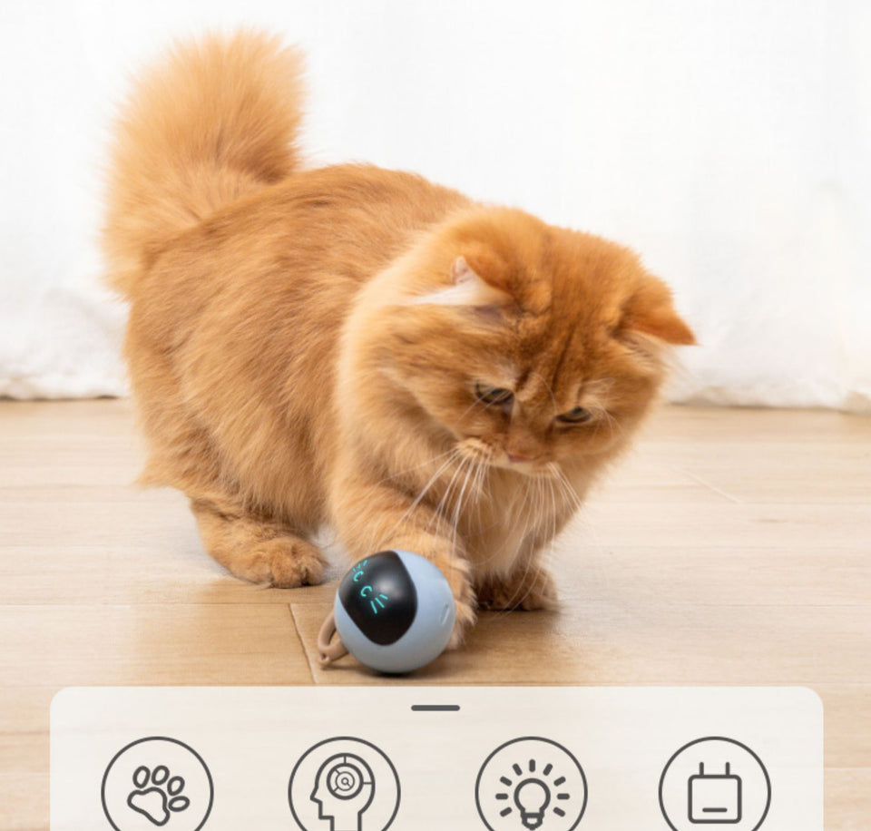 Self Rotating Magic Ball For Pets