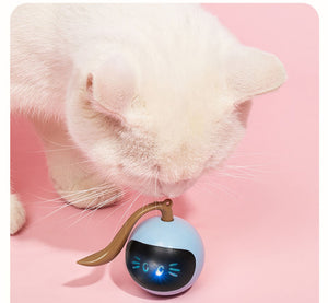 Self Rotating Magic Ball For Pets