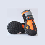 Paw Waterproof Shoes