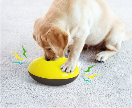 Vocal Food Training Dog Toy