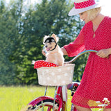 Pet Motorcycle Helmet