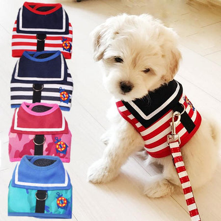 Striped Harness (with Leash) 