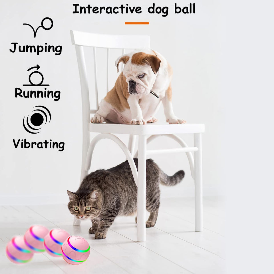 SMART PET BALL - WITH REMOTE CONTROL