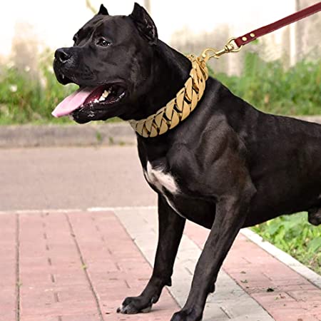 Royal Chain Pet Collar
