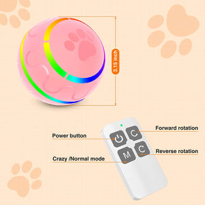 SMART PET BALL - WITH REMOTE CONTROL