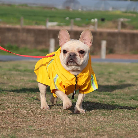 Reflective Pet Raincoat with Pocket