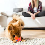 SMART PET BALL - WITH REMOTE CONTROL