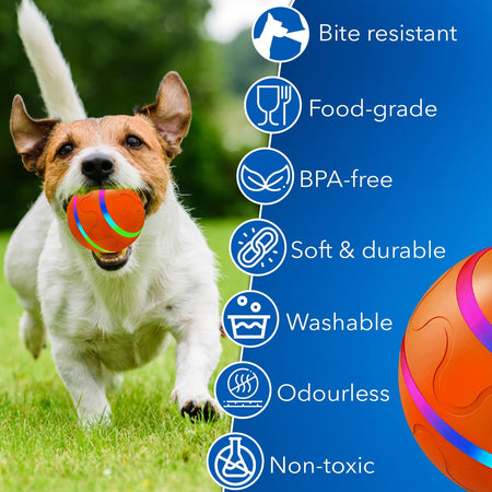 SMART BALL FOR PETS - AUTOMATIC