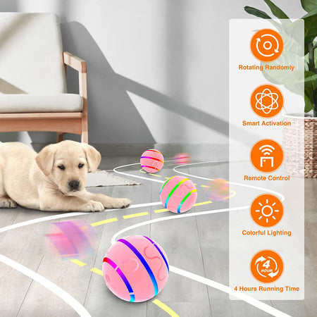SMART PET BALL - WITH REMOTE CONTROL