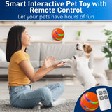 SMART PET BALL - WITH REMOTE CONTROL