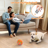 SMART PET BALL - WITH REMOTE CONTROL