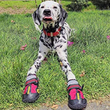 Paw Waterproof Shoes