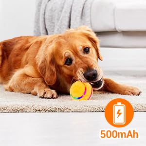 SMART PET BALL - WITH REMOTE CONTROL