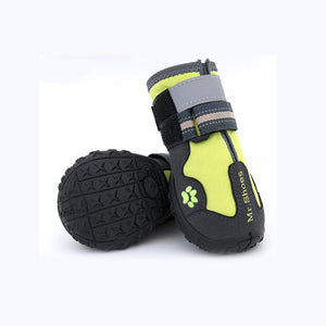 Paw Waterproof Shoes