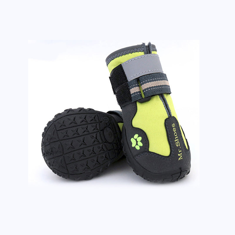 Paw Waterproof Shoes