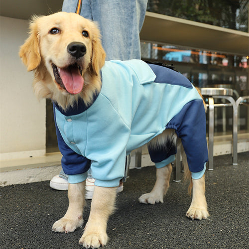 snap and zip pet jacket