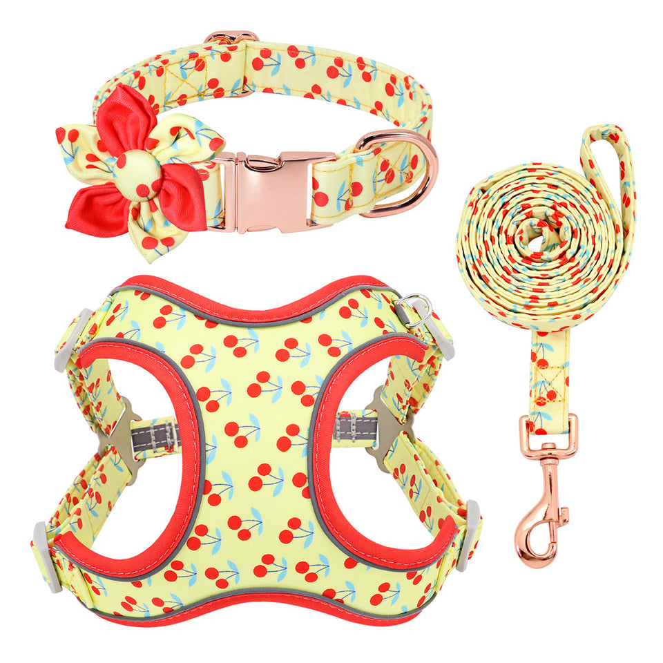 Quirky Walking Set For Small Dogs - Customisable