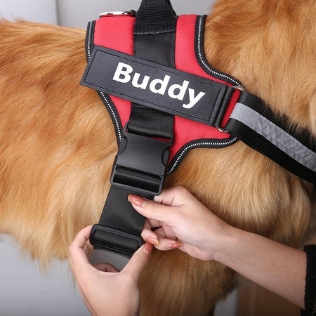 Easy Name Harness