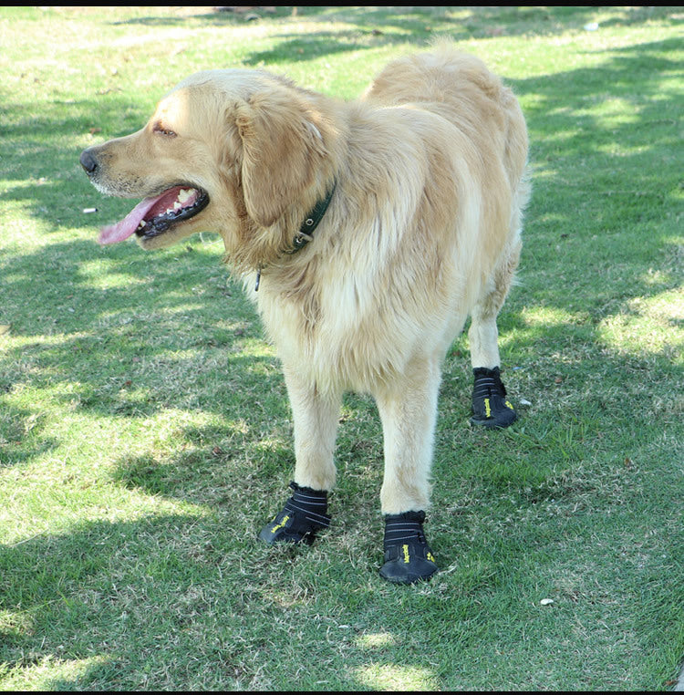 Paw Waterproof Shoes