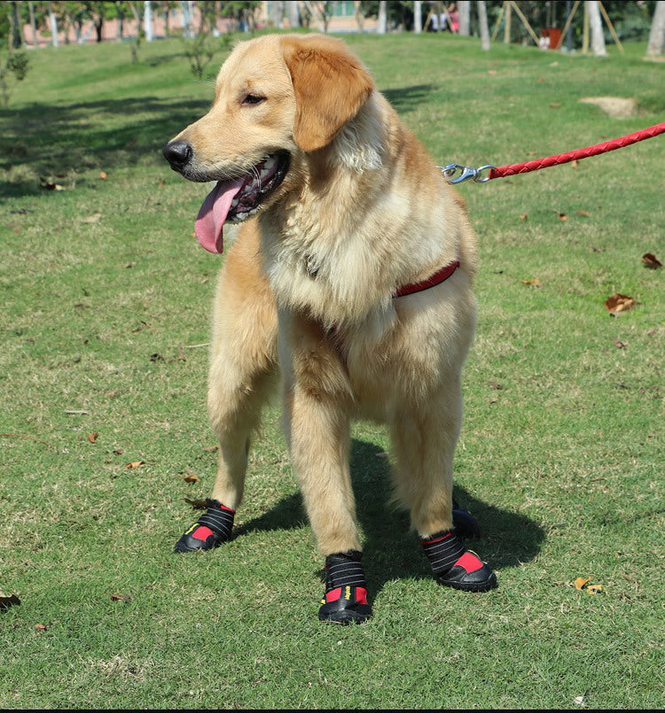 Paw Waterproof Shoes